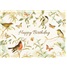 Birthday  GCD49377