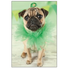 St. Patrick's Day GCD50990