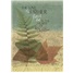 Sympathy - Father GCD51588