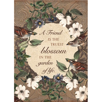 Friendship GCD53271