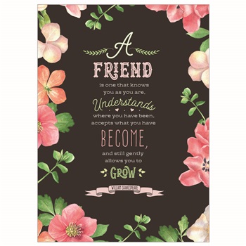 Friendship GCD58538