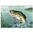 Father's Day  GCD60590