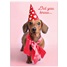 Valentine's Day  GCD65136