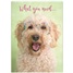 Friendship - Encouragement GCD73196