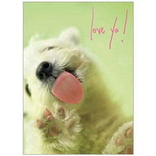 Love GCD73202