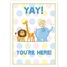 Baby - Boy GCD73485