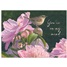 Get Well GCD76548