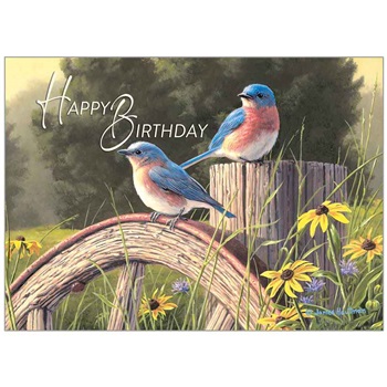Birthday  GCD76564