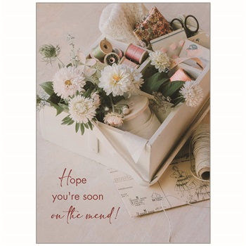 Get Well GCD79526
