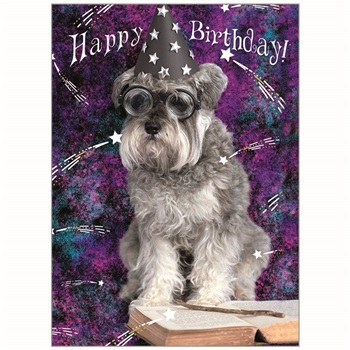 Birthday - Fun GCD81688
