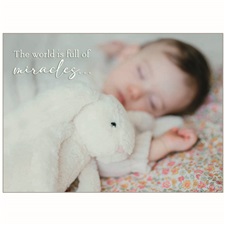Baby - Girl GCD84118