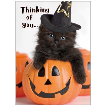 Halloween GCD87058
