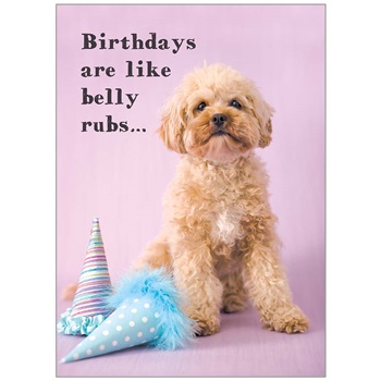 Birthday  GCD91405