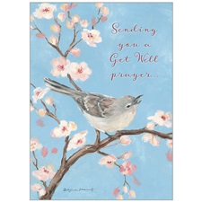 Get Well - Hospital GCD93344
