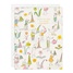 Birthday - Seeds of Grace GOU85979