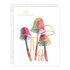 Birthday - Seeds of Grace GOU85985