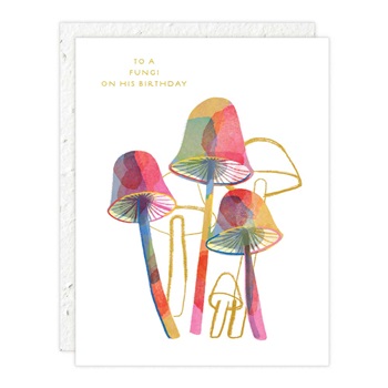 Birthday - Seeds of Grace GOU85985