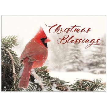 Holiday Cards in a Box HBX61788