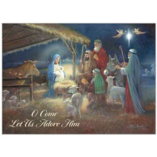 Holiday Cards in a Box HBX78245