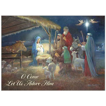 Holiday Cards in a Box HBX78245