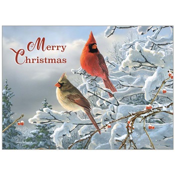 Holiday Cards in a Box HBX88210