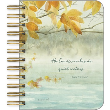 Little Spiral Book LSB73667