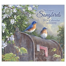 Songbirds 2024 Mini Wall Calendar MCA85066