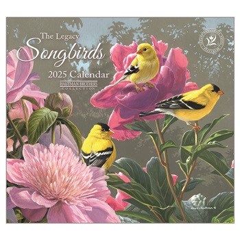2025 Mini Wall Calendar MCA94517