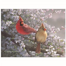 Notecards in box NCD85068
