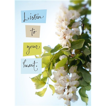 Friendship - Encouragement SCD12701