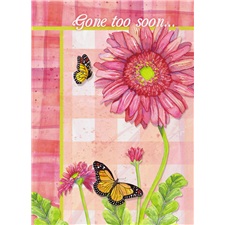 Sympathy - Loss of Young Life SCD17414