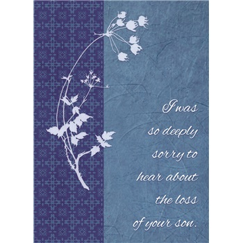 Sympathy - Loss of Son SCD21449