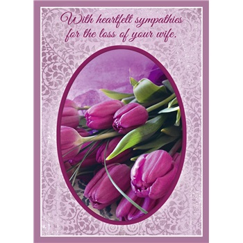 Sympathy - Wife SCD21468