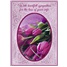 Sympathy - Wife SCD21468