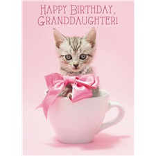 Birthday - Granddaughter - Juvenile SCD27240