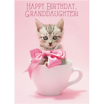 Birthday - Granddaughter - Juvenile SCD27240