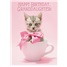 Birthday - Granddaughter - Juvenile SCD27240