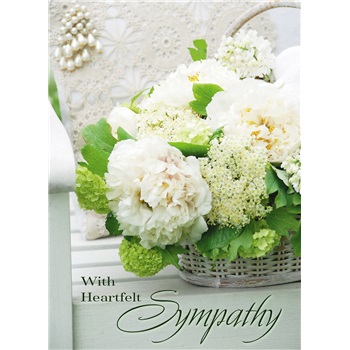 Sympathy SCD27730