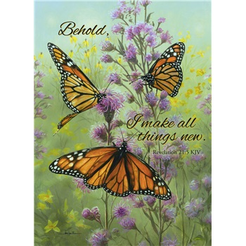 Sympathy SCD30095