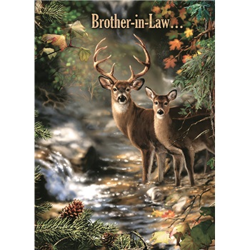Birthday - Brother-in-Law SCD3429