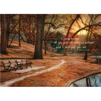 Friendship - Encouragement SCD35453