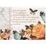 Sympathy - Inspirational SCD36615