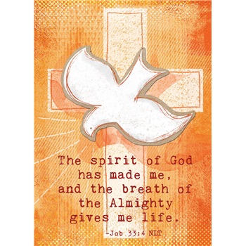 Confirmation - Scripture - Prayer SCD36867
