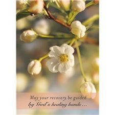 Get Well - Recovery SCD37392