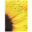 Ministry - Volunteer SCD3789