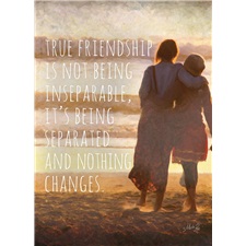 Friendship SCD38499