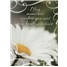 Sympathy SCD42335