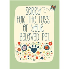 Sympathy - Loss of Pet SCD44408