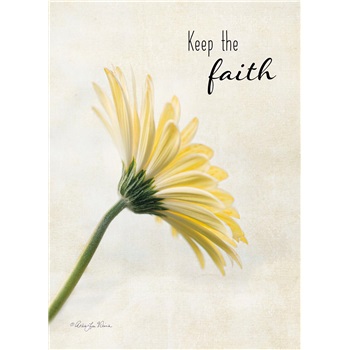 Friendship - Encouragement SCD44429