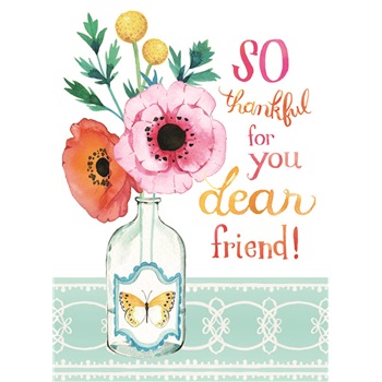 Friendship SCD48756
